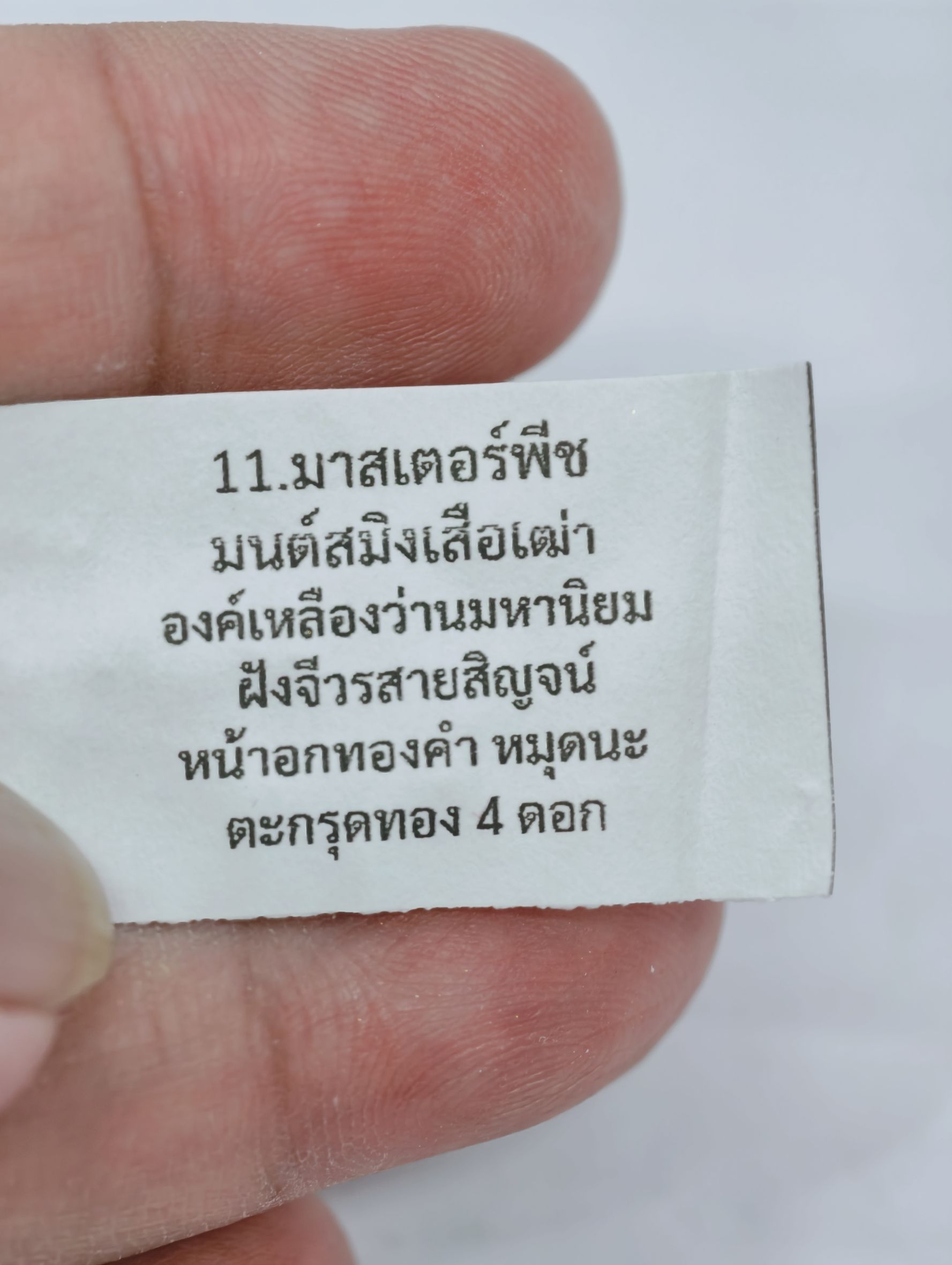 หลวงพ่อประสูติ วัดในเตา สมเด็จเสือนอนกิน พยัคฆ์เศรษฐี มาสเตอร์พีซ หน้าอกทองคำ KA2465