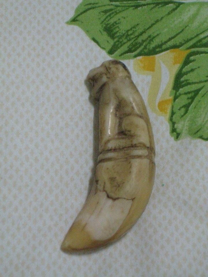 เขี้ยวเสือกลวงแกะเก่า(เครื่องรางพญาเสือ) ถือเป็นของทนสิทธิ์ตามธรรมชาติที่หายากมาก