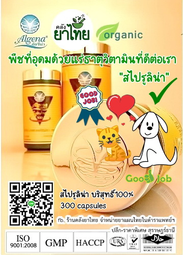 สไปรูลิน่าบริสุทธิ์300แคปซูล เพิ่มภูมิสุนัขและแมว ดูแลอาการทางผิวหนัง ขนร่วง ฟื้นตัวจากป่วย ป้องกันโรคร้าย บำรุงร่างกาย