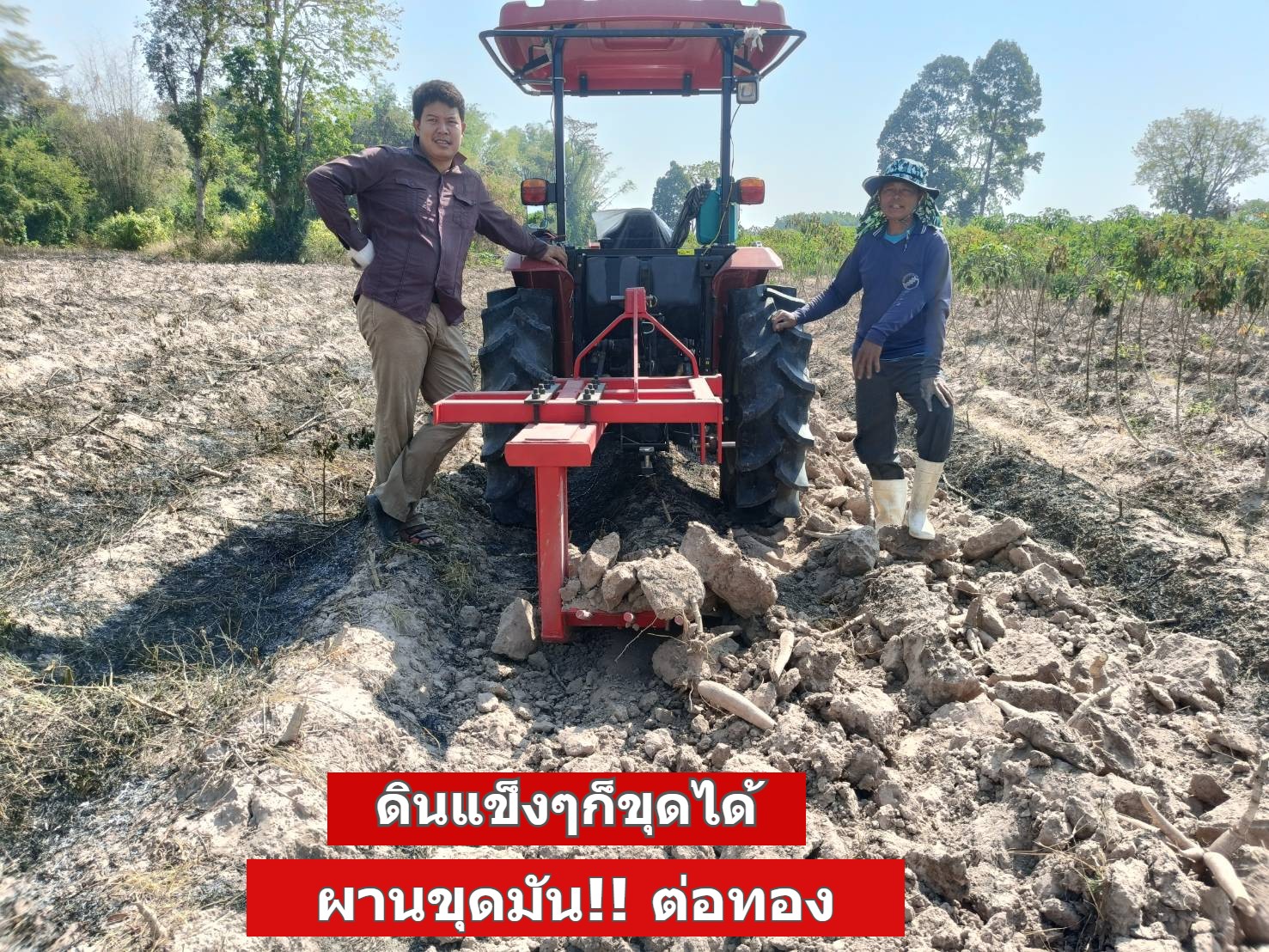 ผานขุดมัน