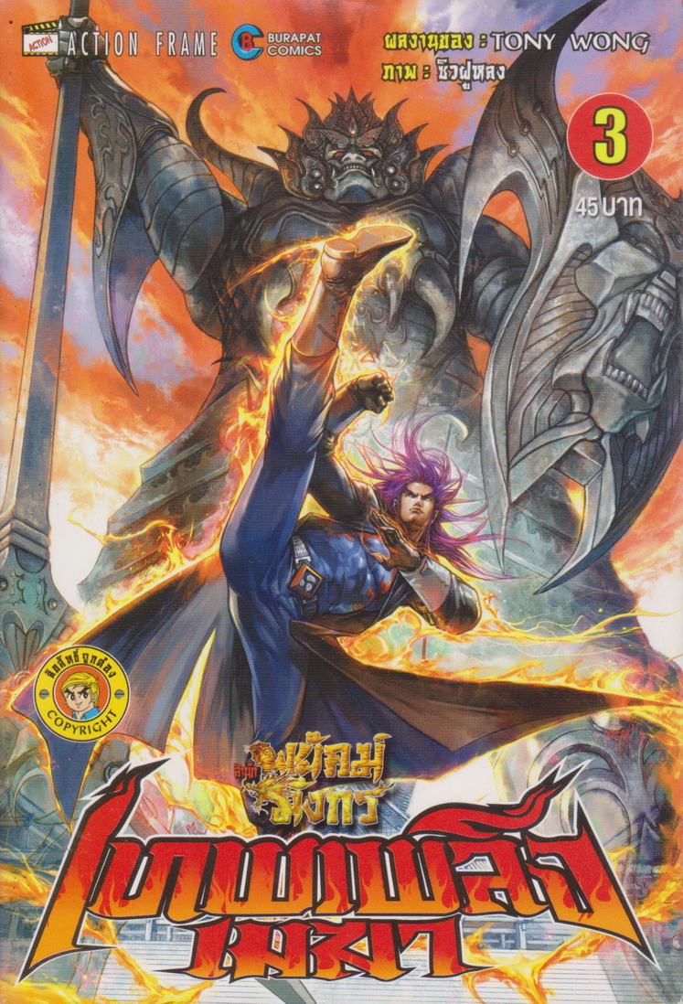 หนังสือการ์ตูน สำนักพยัคฆ์มังกร เทพเพลิงเมฆา เล่ม 1-4 จบ (ขายยกชุด) ผู้เขียน Tony Wong