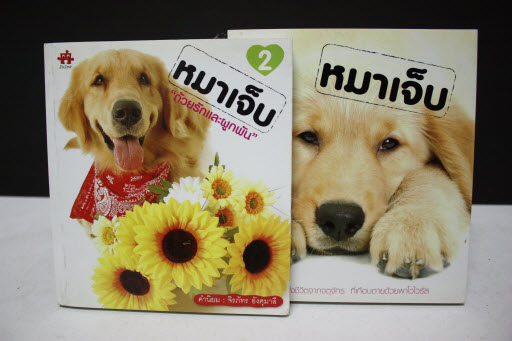 หมาเจ็บ ด้วยรักและผูกพันธ์
