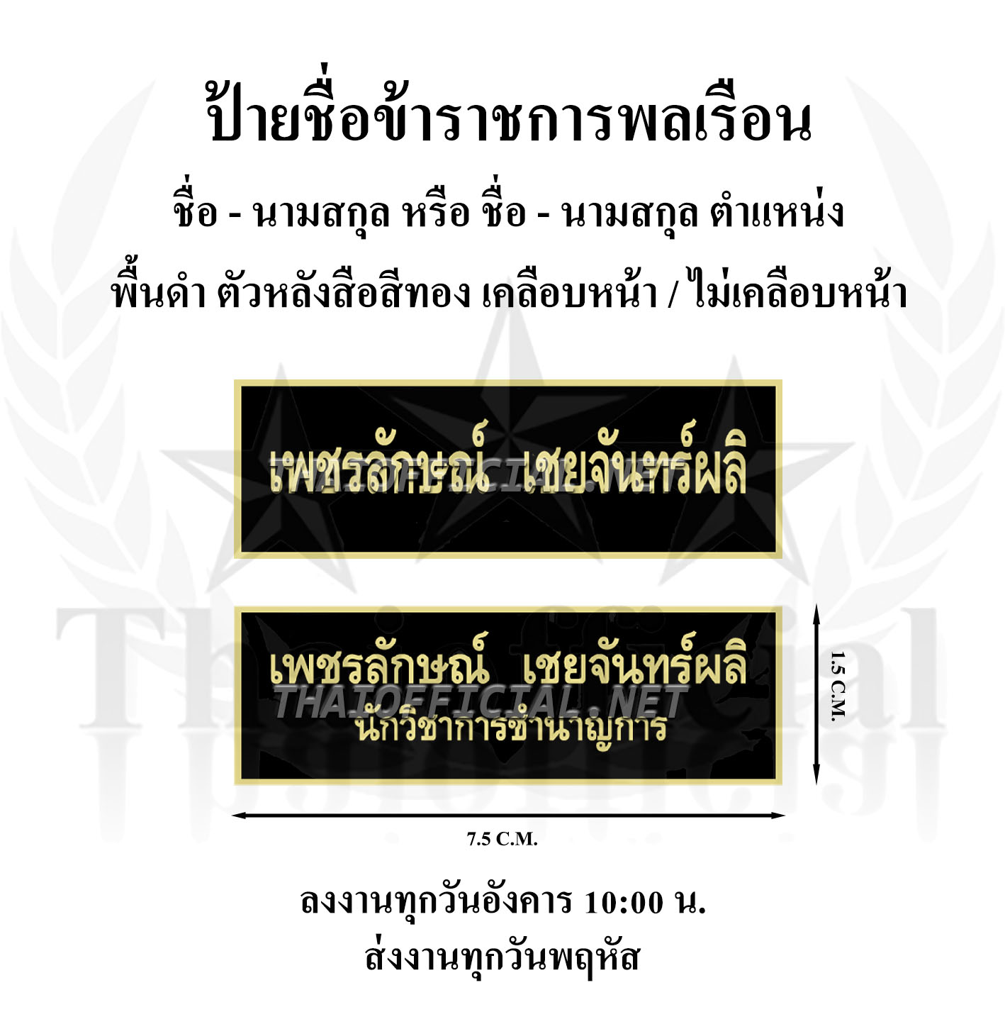ป้ายชื่อข้าราชการพลเรือน ขนาด 2 cm. x 7.5 cm. ชื่อ + ตำแหน่ง