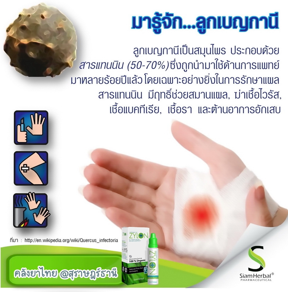 Zylonไซล่อน สมานแผลเร็ว ไม่แสบ