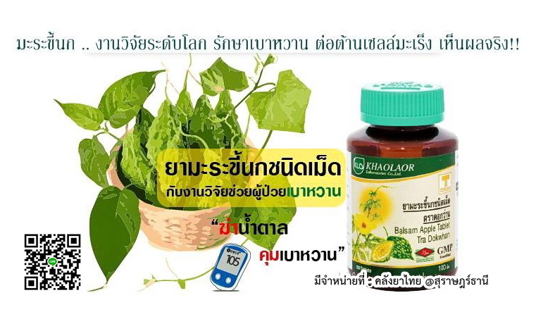 ยามะระขี้นก 100 เม็ด