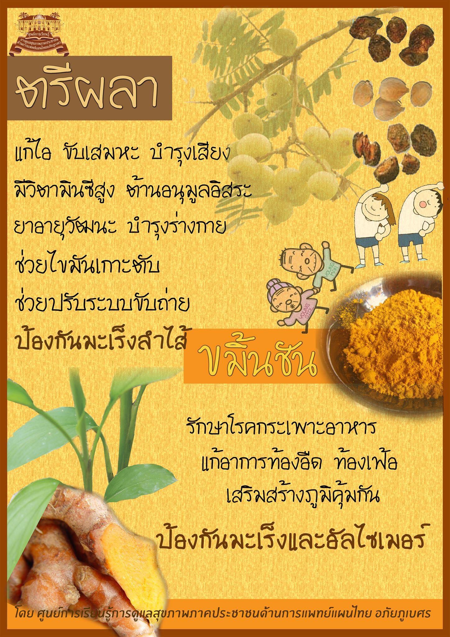 ยาตรีผลา ยาในตำราแพทย์แผนไทย
