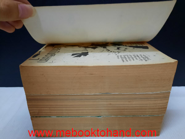 ไฟรักไฟริษยา 1-3 จบ