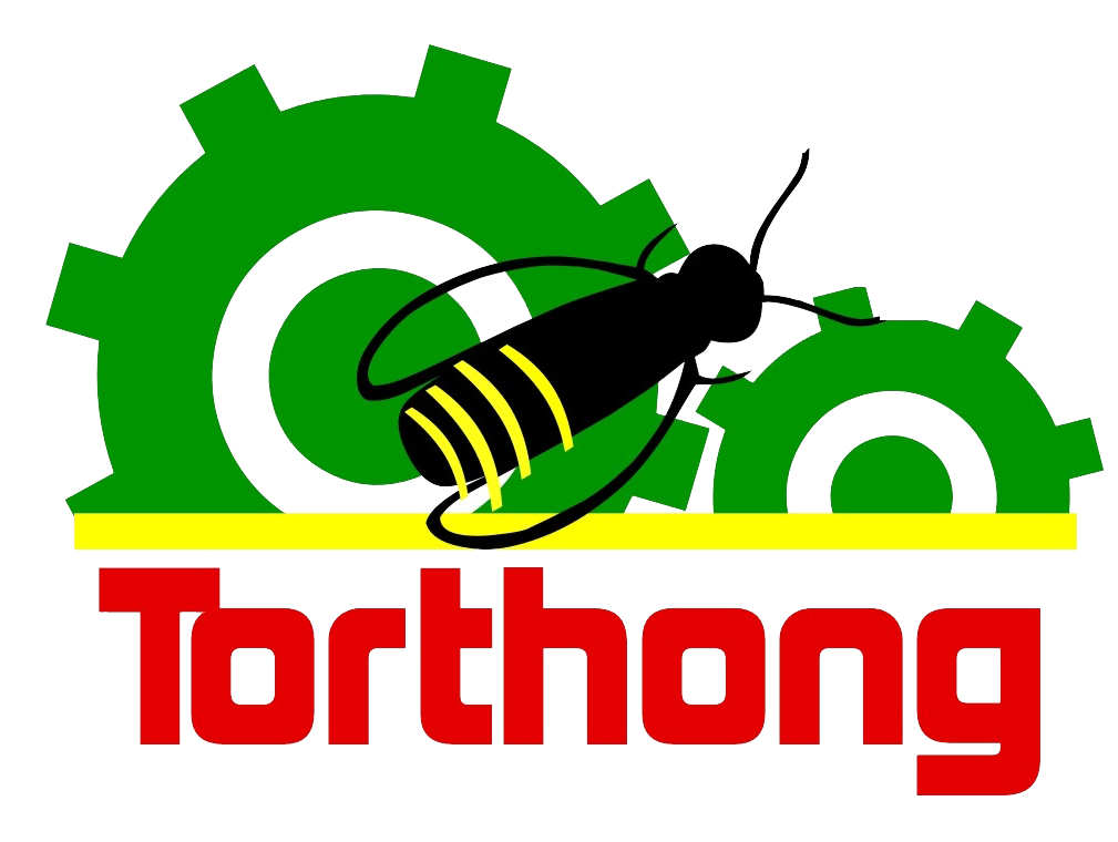Torthongs