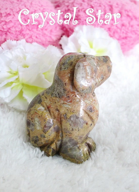 Jasper แกะเป็นรูปสุนัข