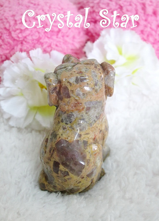 Jasper แกะเป็นรูปสุนัข