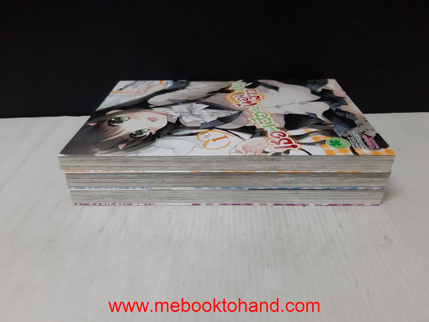 เธอน่ะหรือคือน้องสาวของผม! 1-3