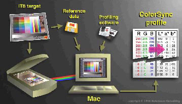 ระบบการจัดการสี(color management system)
