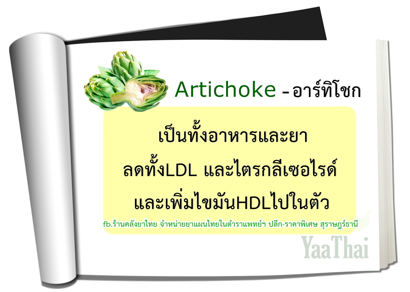 อาร์ทิโชกArtichoke