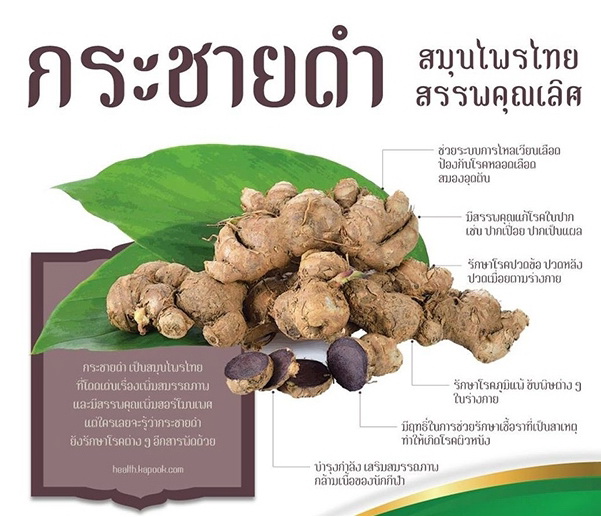 กระชายดำ(ดูแลบุรุษ)