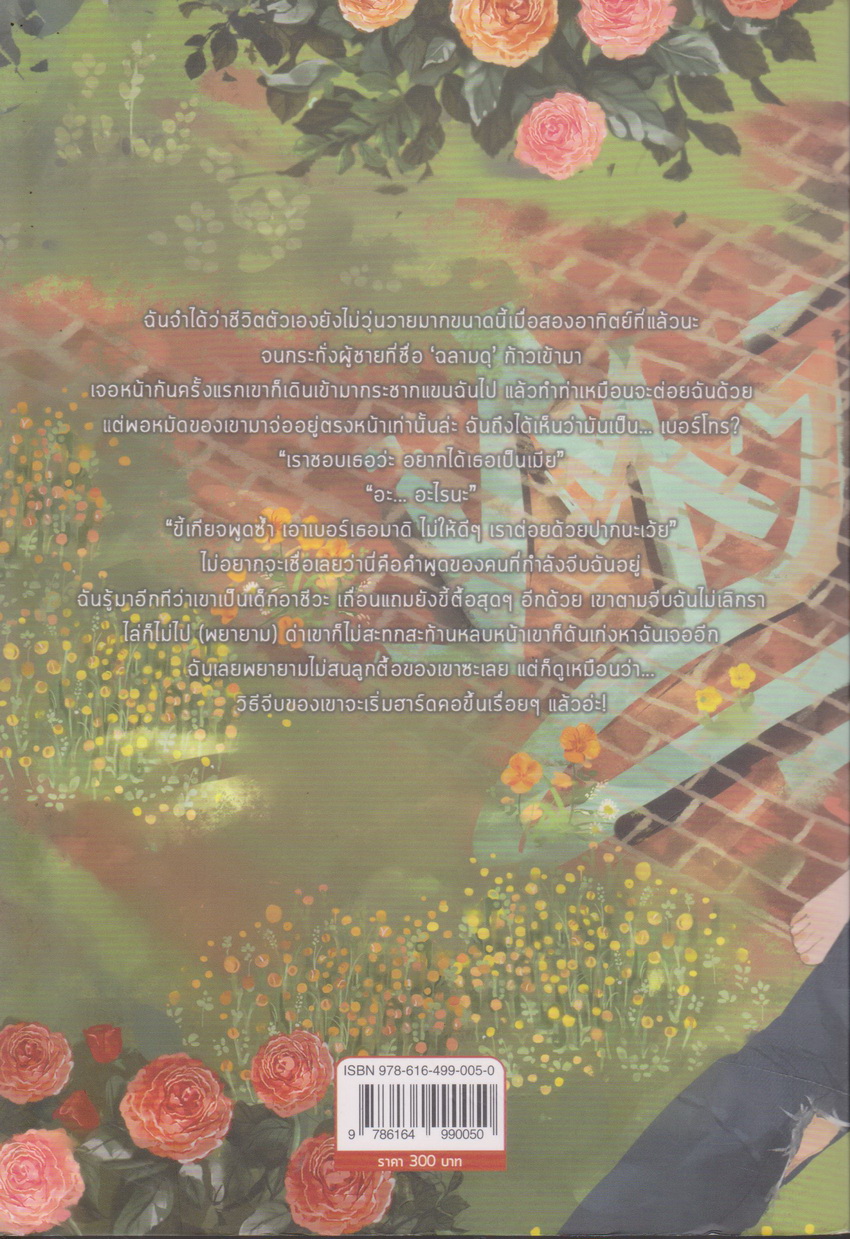 นิยาย HOOD X MANIA จีบเเบบผู้ชายฮาร์ดคอ เล่ม 1 ผู้เขียน Madam Hangover