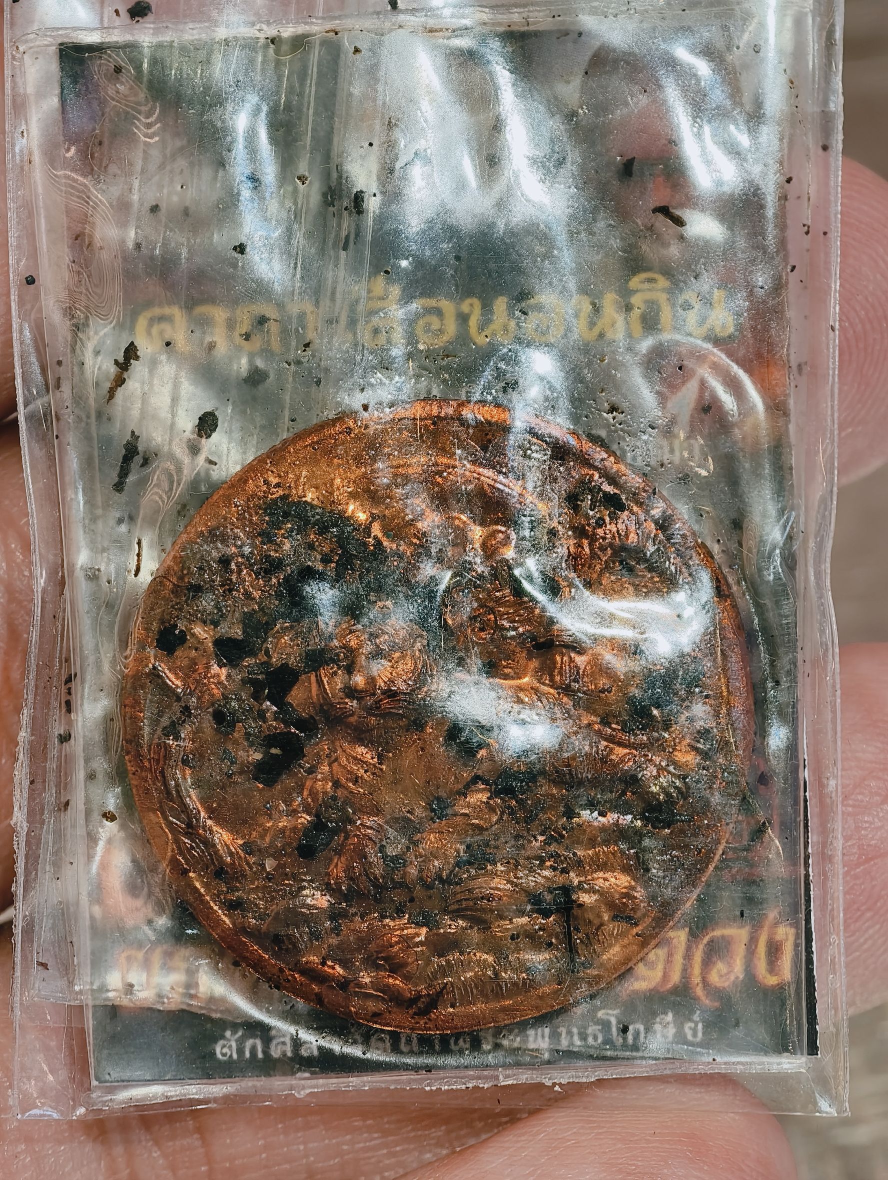 หลวงพ่อประสูติ วัดถ้ำพระพุทธโกสีย์ ในเตา เหรียญเสือนอนกิน พญาเสือเฒ่ายกศิษย์ เหนือดวง ตักศิลา KA 3336