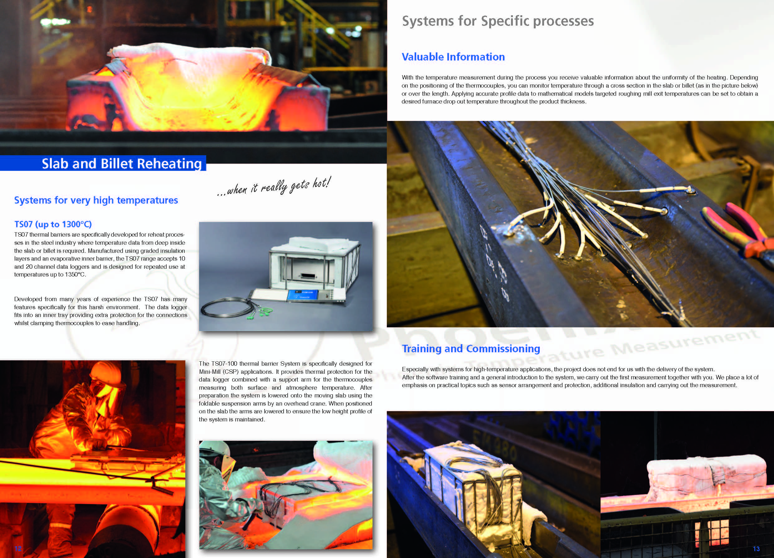 PhoenixTM Product Brochure