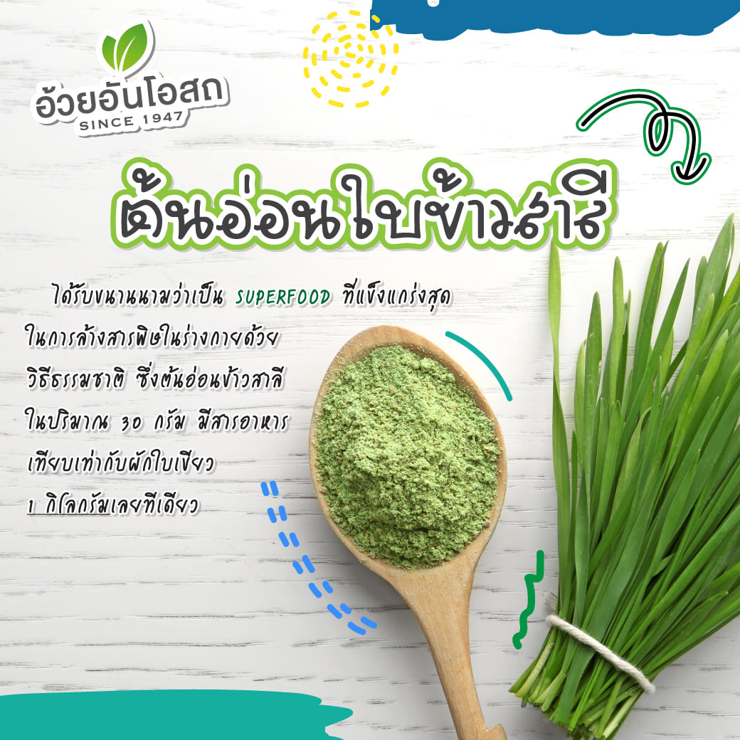 วีทกราสWheatgrass