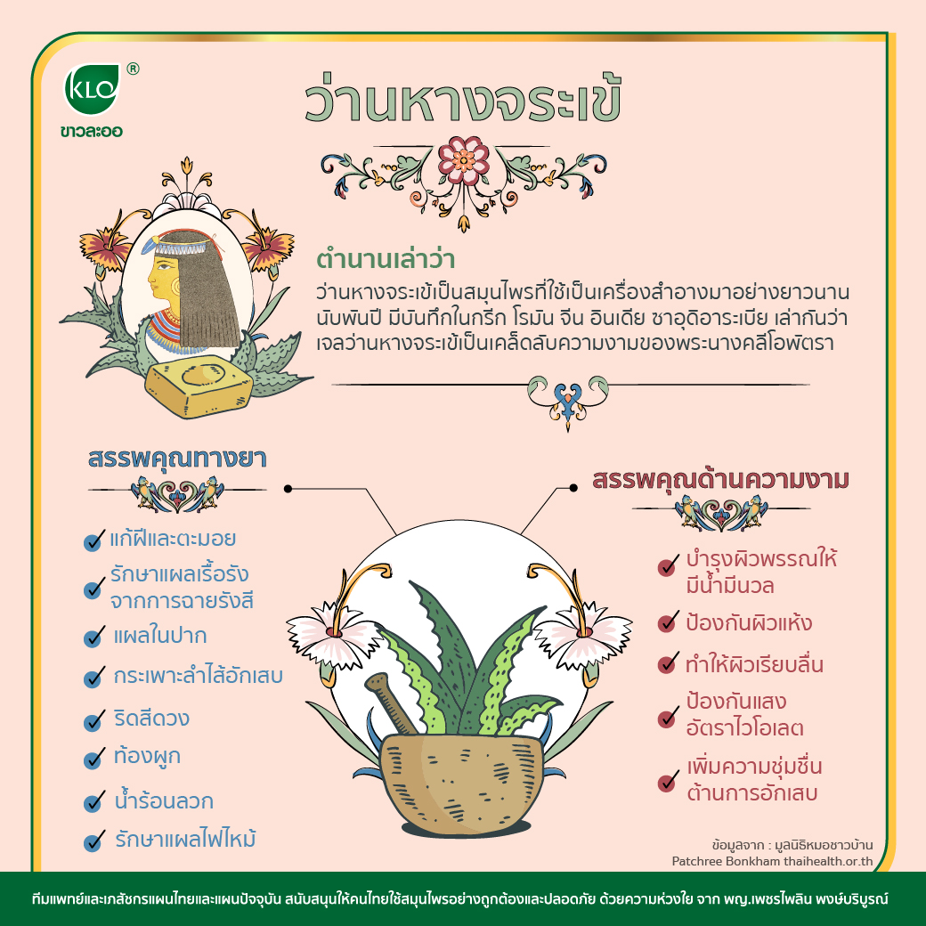 เบอร์นี่เจล เจลว่านหางจระเข้