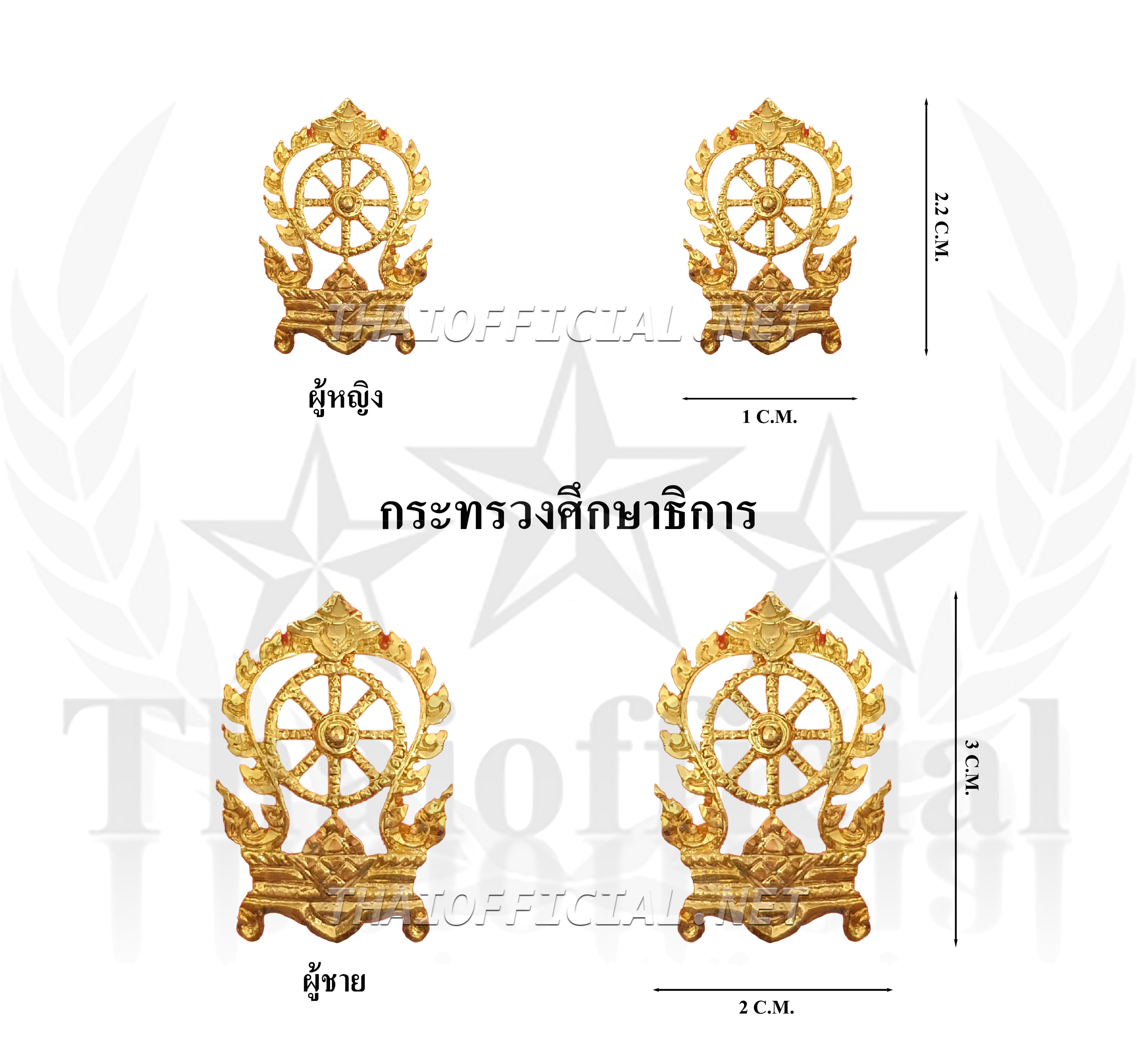 ติดปกเสื้อกระทรวงศึกษาธิการ