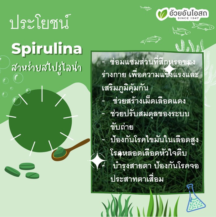 สไปรูลิน่าบริสุทธิ์300แคปซูล เพิ่มภูมิสุนัขและแมว ดูแลอาการทางผิวหนัง ขนร่วง ฟื้นตัวจากป่วย ป้องกันโรคร้าย บำรุงร่างกาย