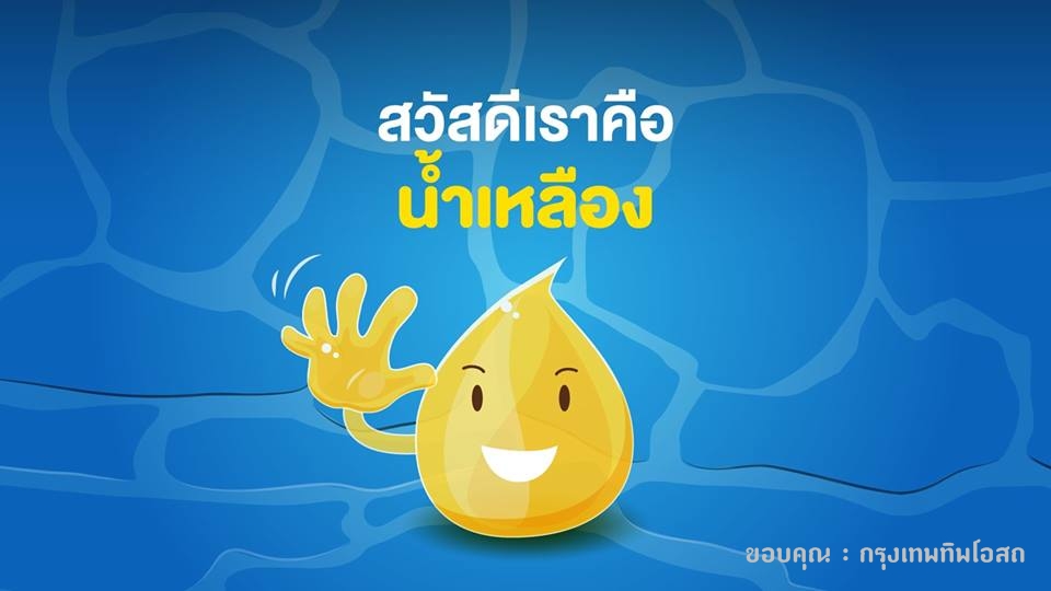 ยาแก้น้ำเหลืองเสีย