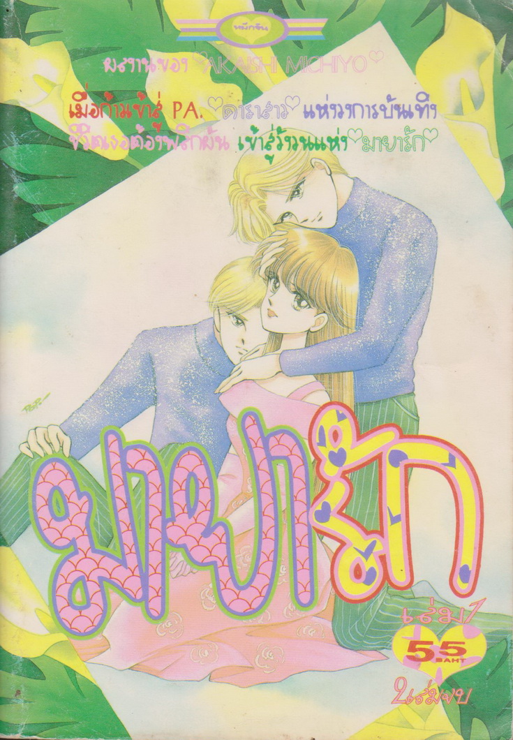 การ์ตูนหมึกจีน มายารัก เล่ม 1-2 จบ (ขายยกชุด) ผู้เขียน Akaishi Michiyo
