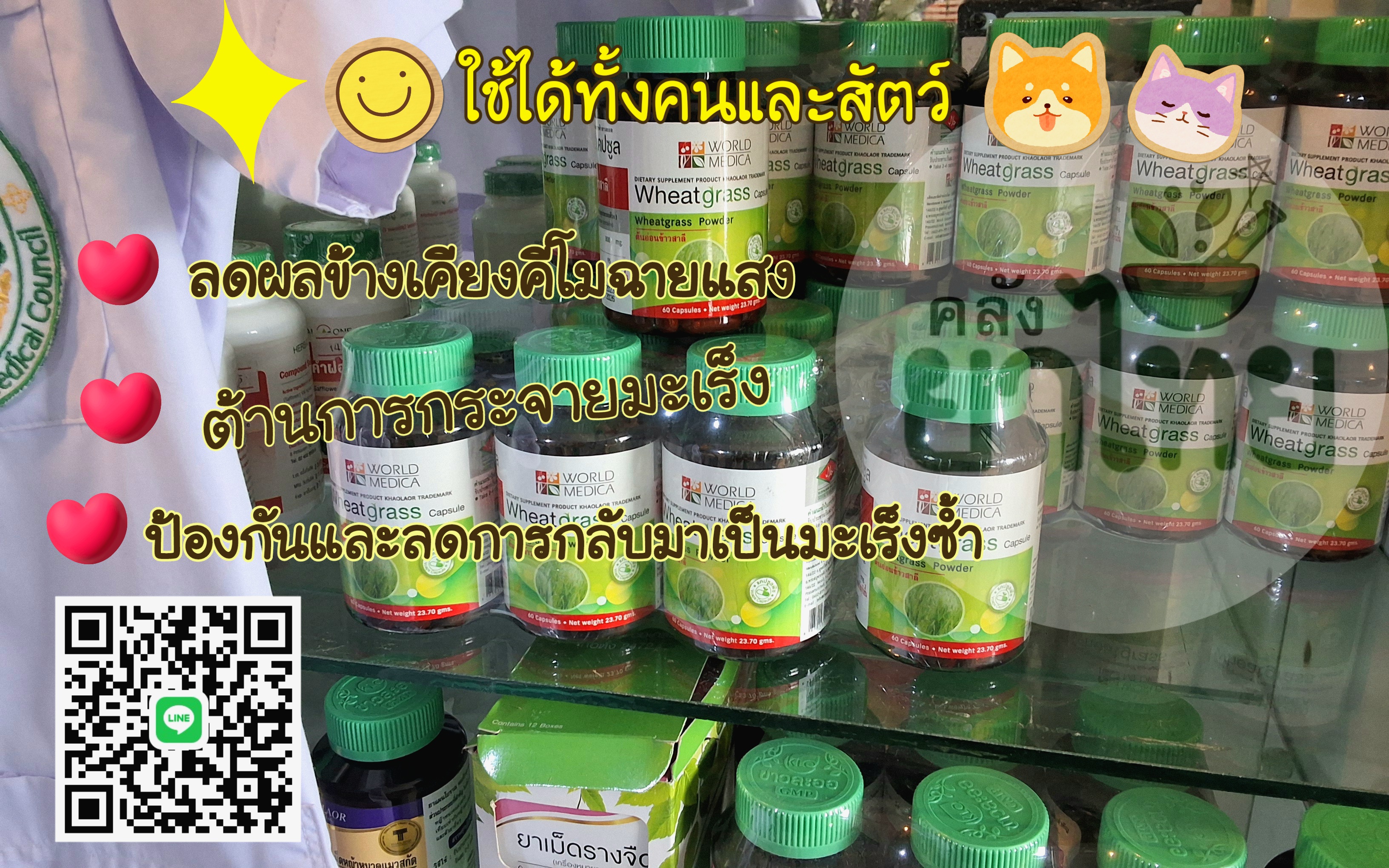 วีทกราสWheatgrass