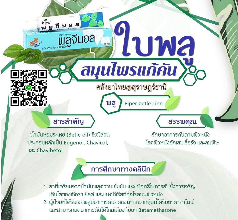 พลูจีนอล ครีมแก้ลมพิษ ผื่นคัน ผิวอักเสบ