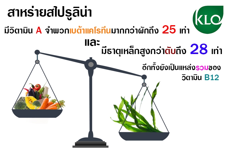 สไปรูลิน่าบริสุทธิ์300แคปซูล พร้อมเอกสารการรับประทานที่ถูกต้อง