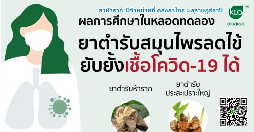 ยาห้ารากสกัด ยาในตำราแพทย์แผนไทย