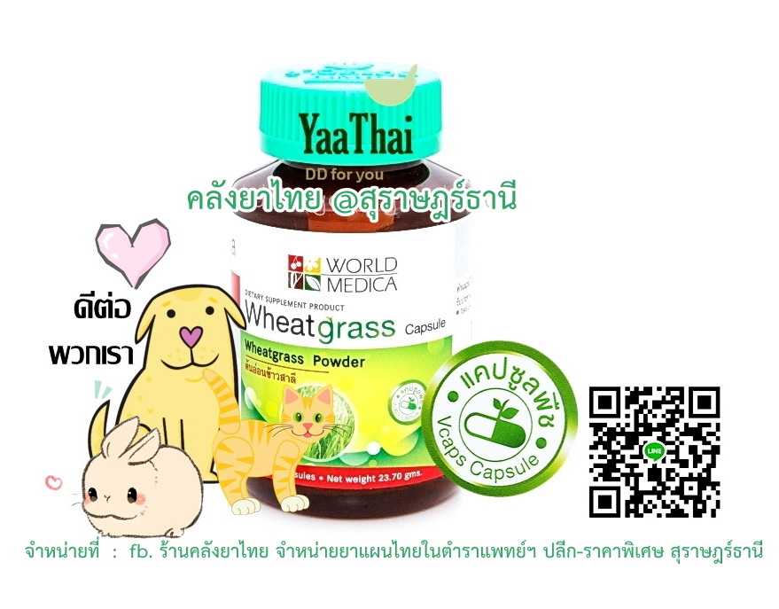 วีทกราสWheatgrass