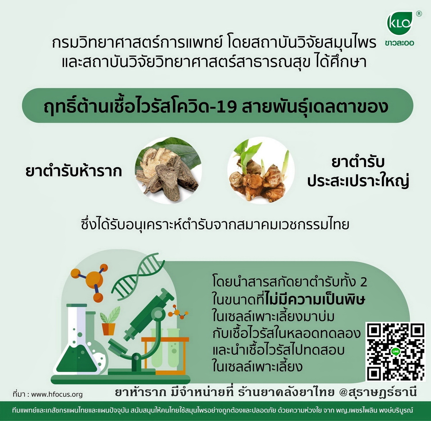 ยาห้ารากสกัด ยาในตำราแพทย์แผนไทย