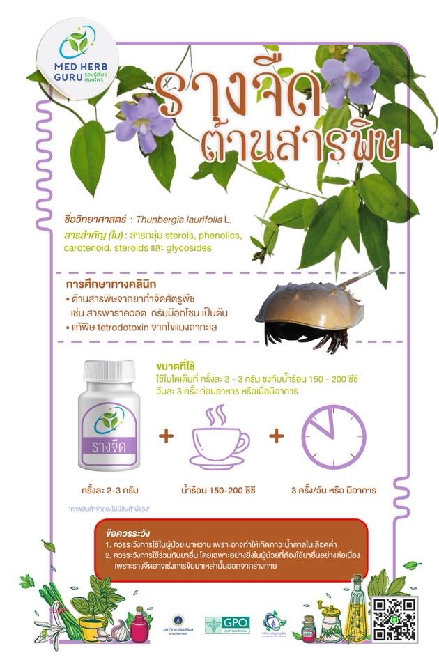 รางจืดชนิดเม็ด ใช้ได้ทั้งคนและสัตว์