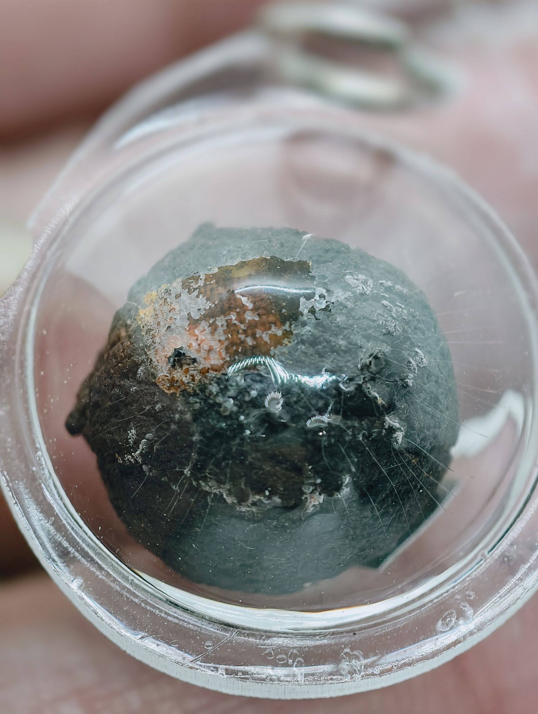 หลวงปู่มหาศิลา หลวงพ่อเงิน ลูกอมชานหมาก ซองเดิม AC2123