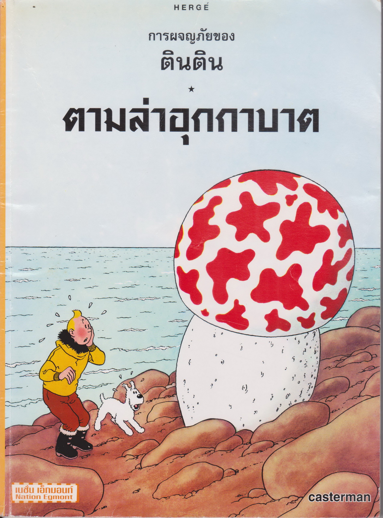 หนังสือการ์ตูน การผจญภัยของตินติน ตอน ตามล่าอุกกาบาต (*ตำหนิ ตราประทับ*)