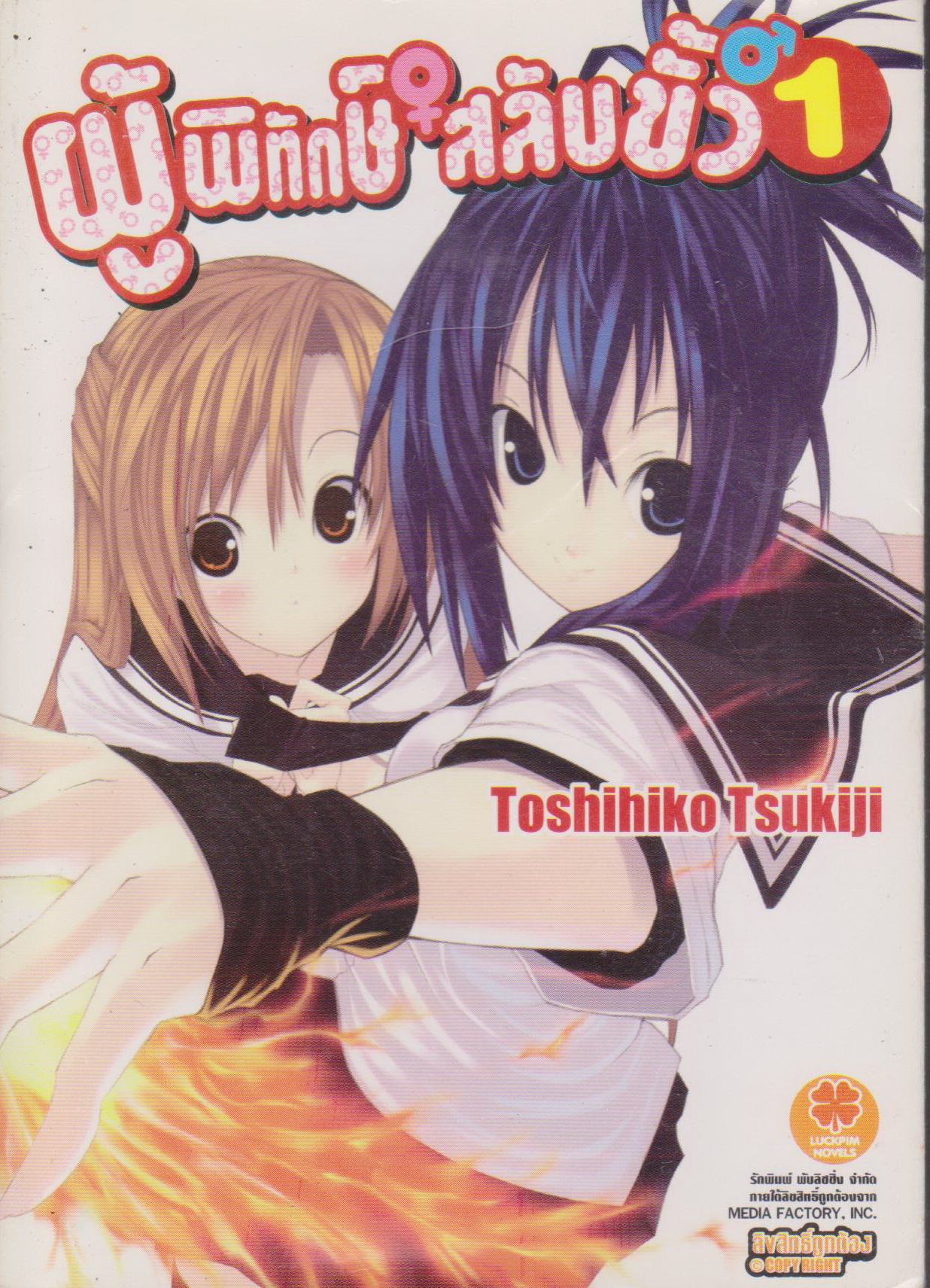 ไลท์โนเวล ผู้พิทักษ์สลับขั้ว เล่ม 1-4 (ยังไม่จบ) ขายยกชุด ผู้เขียน Toshihiko Tsukiji