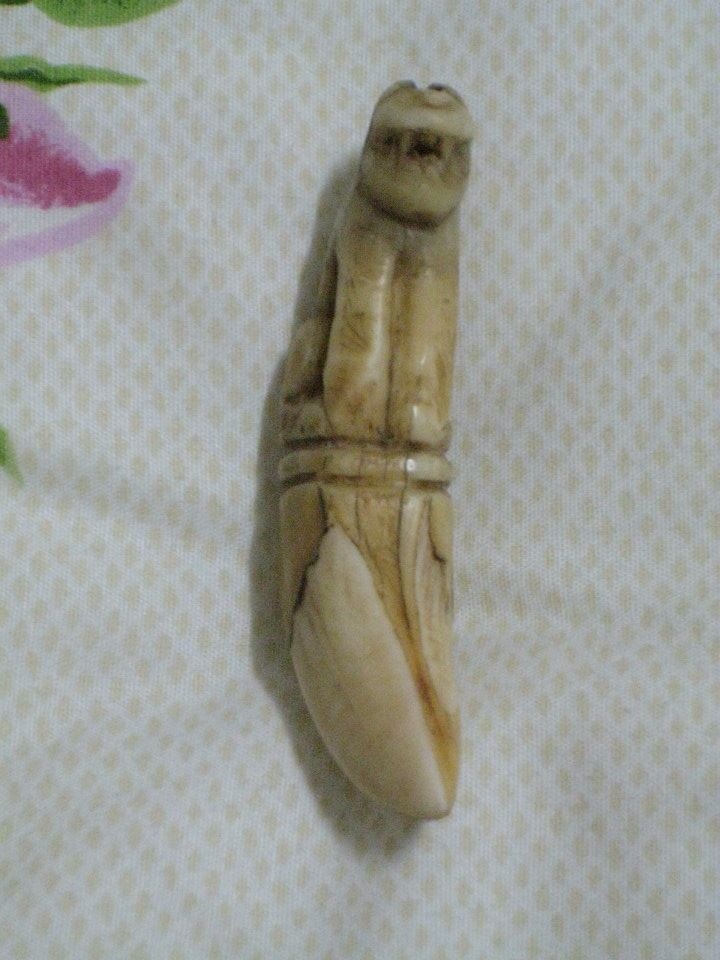 เขี้ยวเสือกลวงแกะเก่า(เครื่องรางพญาเสือ) ถือเป็นของทนสิทธิ์ตามธรรมชาติที่หายากมาก