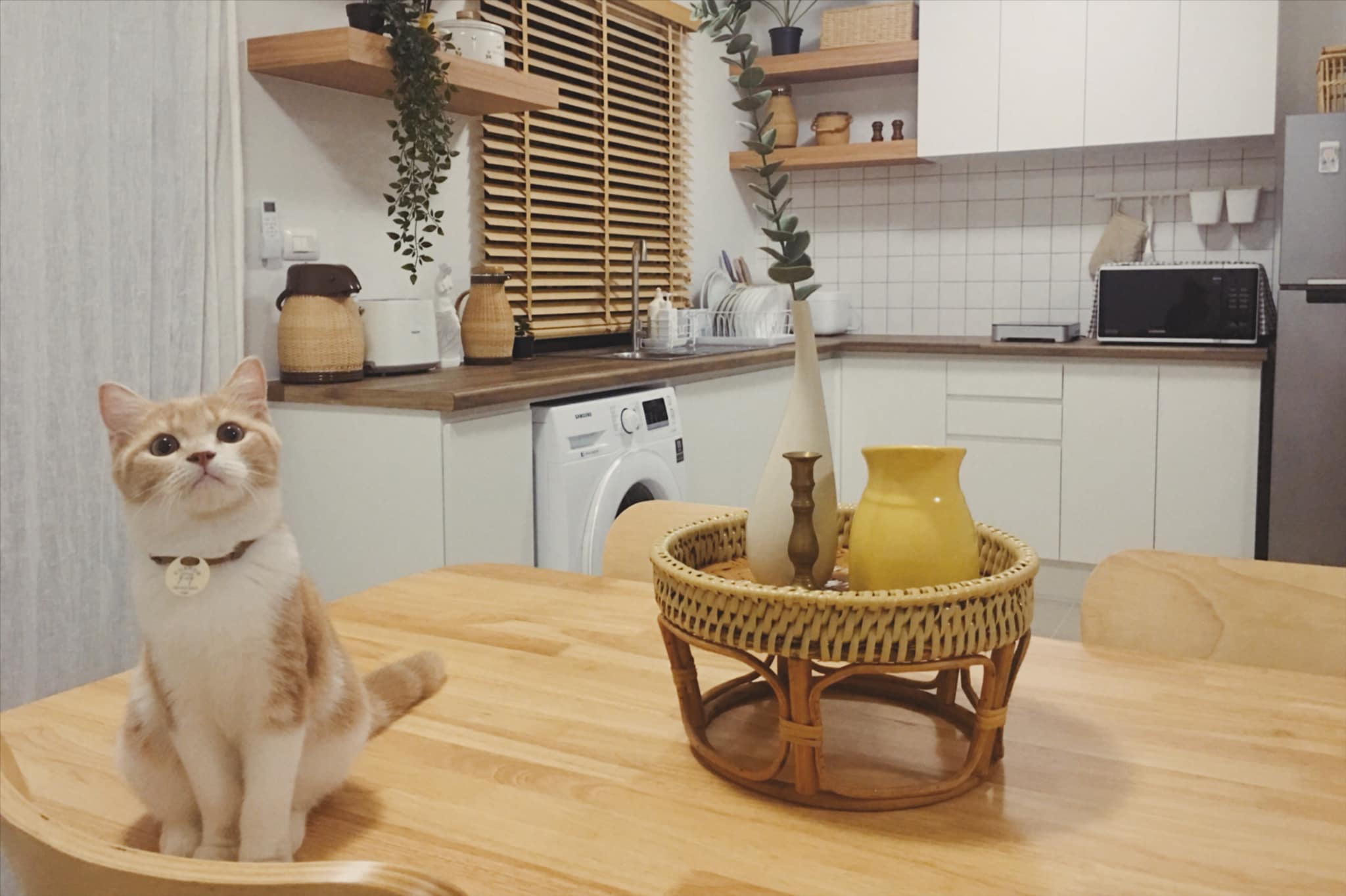 ครัวบิ้วอิน บ้านคุณกชกร หมู่บ้าน Pleno พหลโยธิน-วัชรพล 2 ถนนเพิ่มสิน แขวงคลองถนน 2 ตู้ล่าง+บน 2.4 ตู้ล่าง