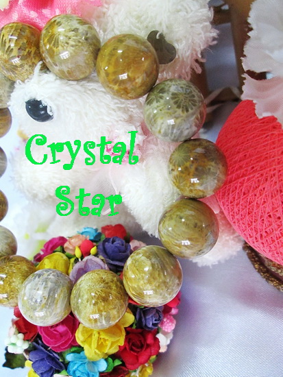 สร้อยข้อมือหินฟอสซิล