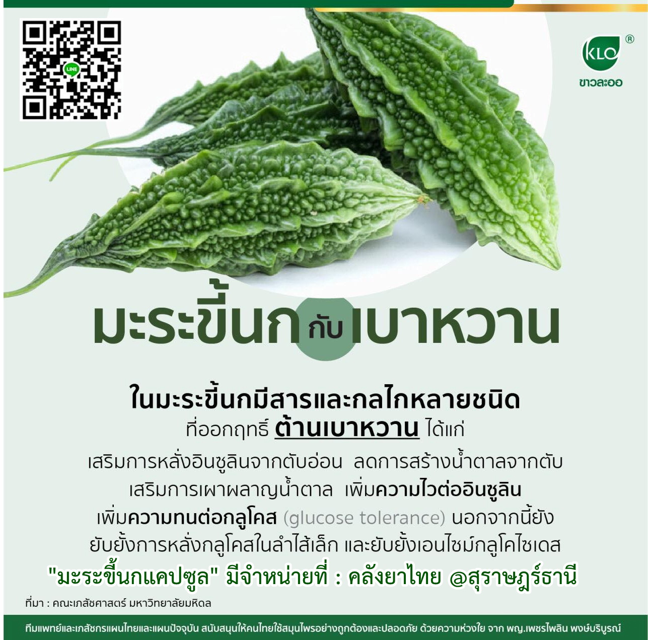 ยามะระขี้นก 100 เม็ด