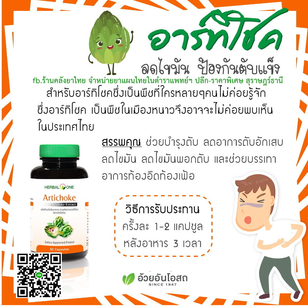 อาร์ทิโชกArtichoke