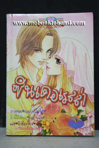 ซินเดอเรลล่า เล่มเดียวจบ