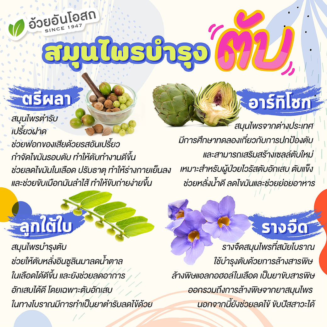 ยาตรีผลา ยาในตำราแพทย์แผนไทย