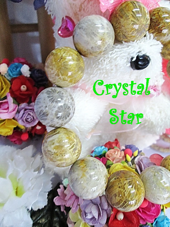 สร้อยข้อมือหินฟอสซิล