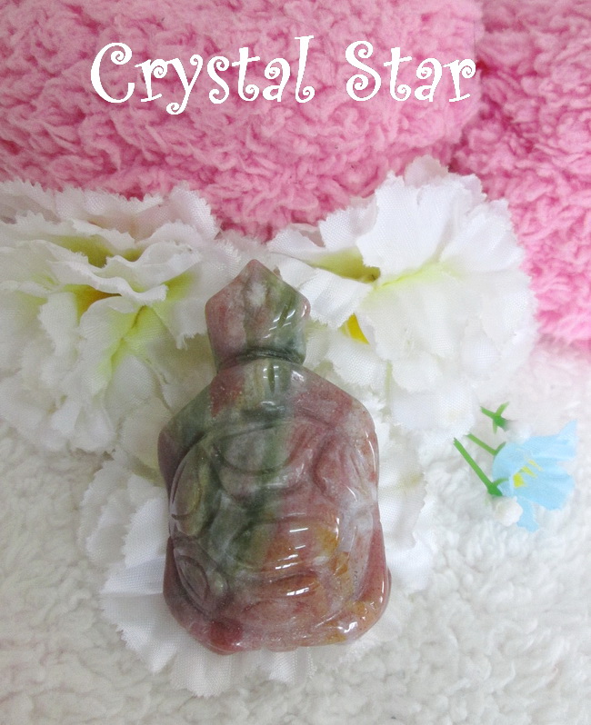 เต่าอาเกต