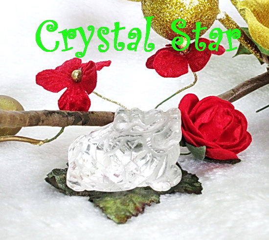 ขายแล้วค่ะ! เต่ามังกร