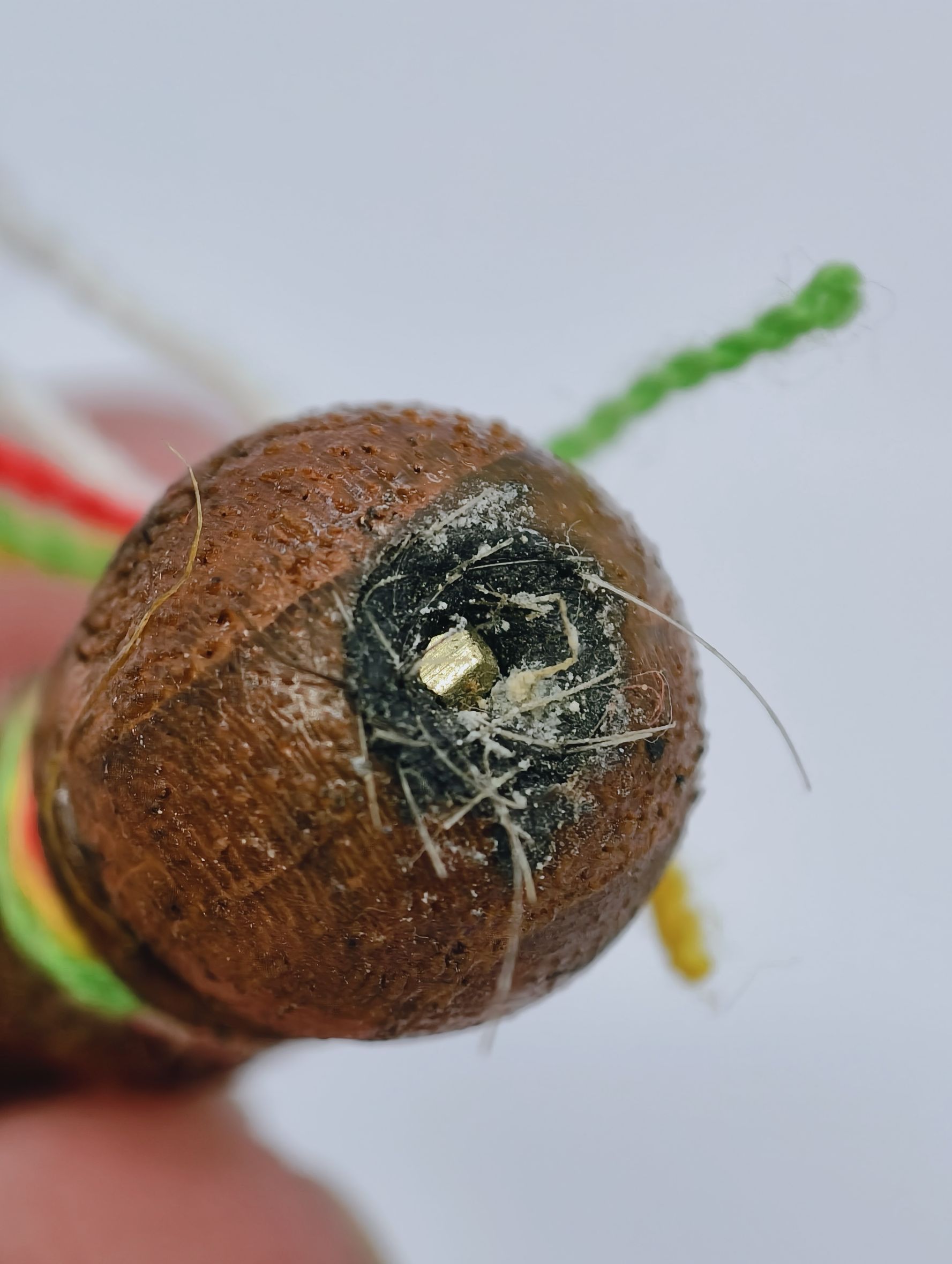 หลวงพ่อเกษม วัดมะม่วงตลอด ไม้ครูมงคลมหาเวทย์ KA4233