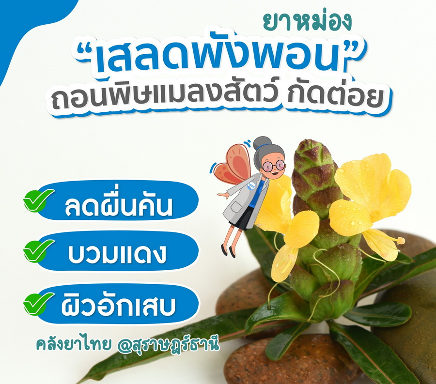 ยาหม่องเสลดพังพอน(กระปุกใหญ่) 60 g.