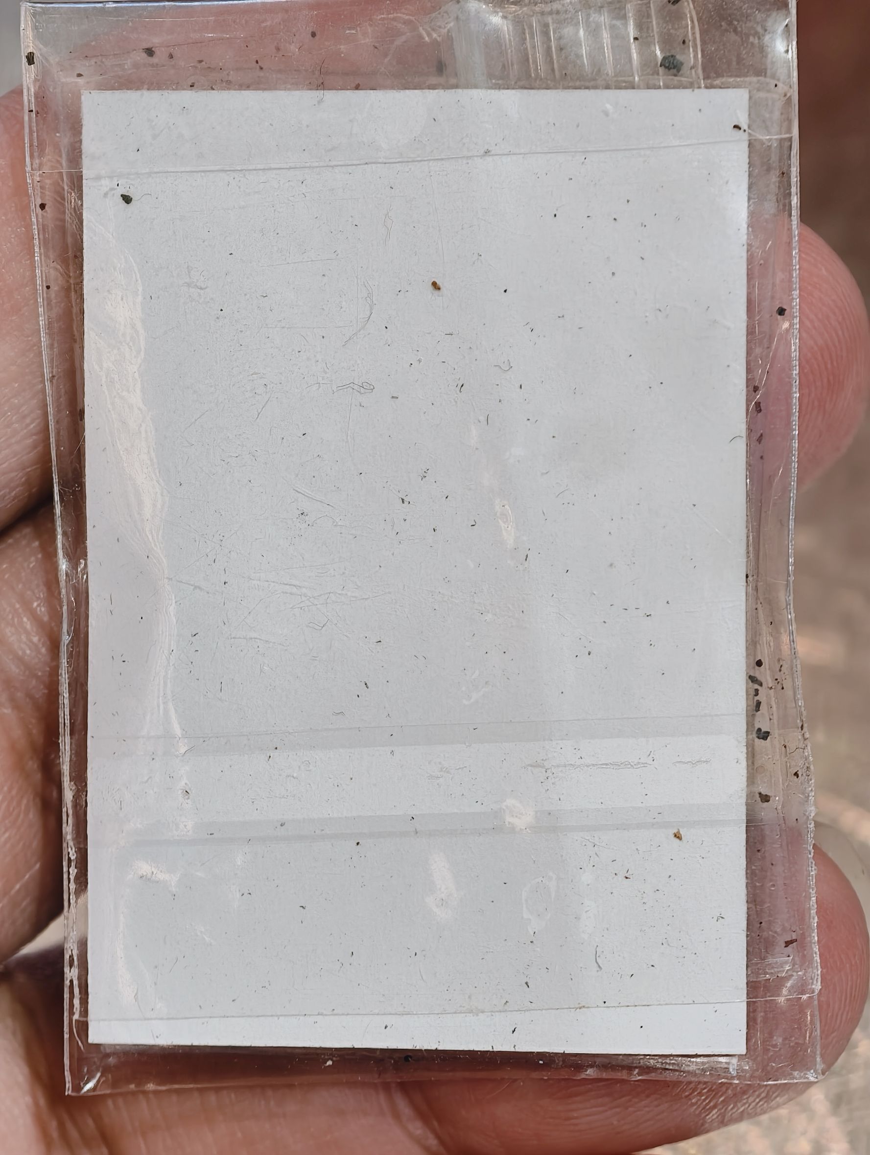 หลวงพ่อประสูติ วัดถ้ำพระพุทธโกสีย์ ในเตา เหรียญเสือนอนกิน พญาเสือเฒ่ายกศิษย์ เหนือดวง ตักศิลา KA 3336